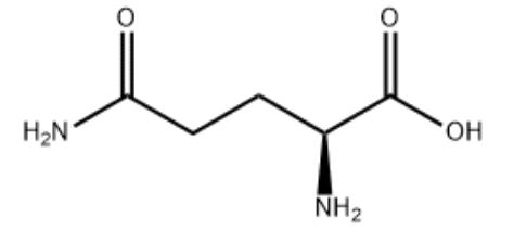 L- 글루타민